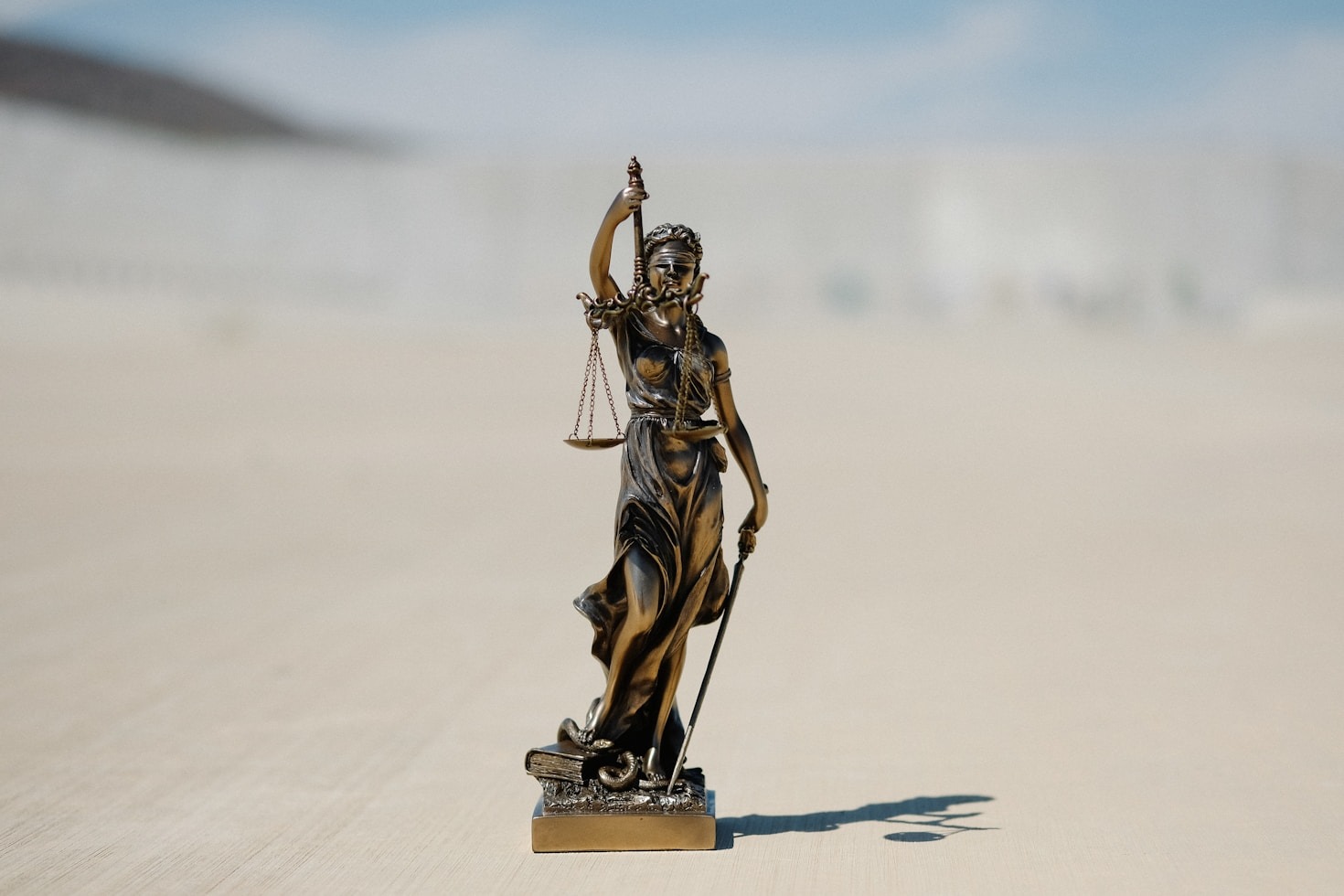 Advocacy and Innovation in Modern Professional Roles